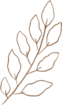 demo-attachment-294-GOLDEN-LEAF-1